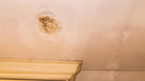 Penyebab Plafon Kamar Kost Menguning dan Cara Mengatasinya Secara Tepat