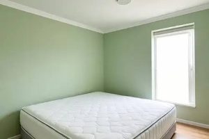 Perawatan Plafon Rumah Kost: Tips agar Bersih, Awet, dan Tidak Cepat Rusak